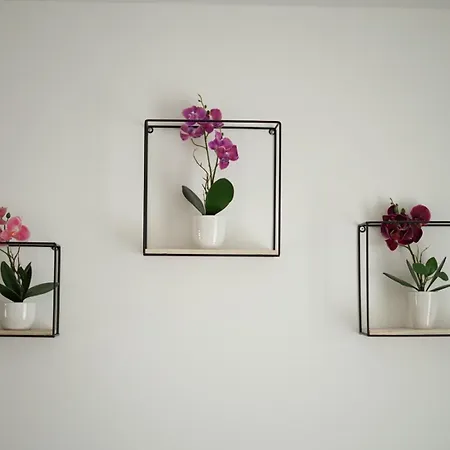 Moeblierte 3-zimmer-wohnung Nahe Duesseldorf In Duisburg-sued Διαμέρισμα Ντούισμπουργκ