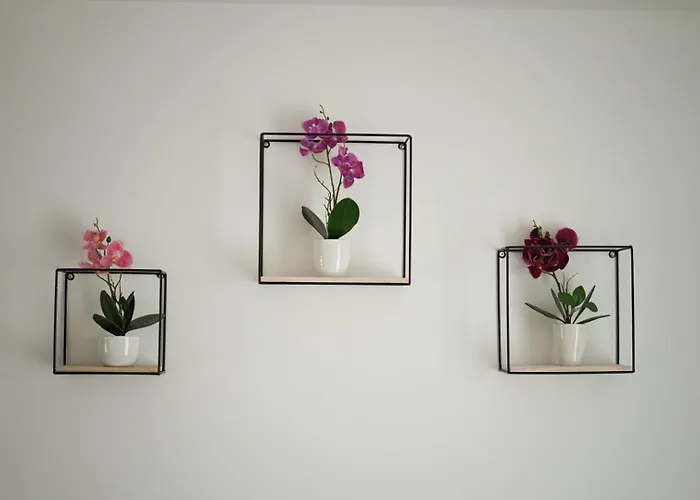 Moeblierte 3-zimmer-wohnung Nahe Duesseldorf In Duisburg-sued Appartement Duisburg