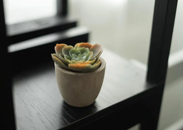 Moeblierte 3-zimmer-wohnung Nahe Duesseldorf In Duisburg-sued