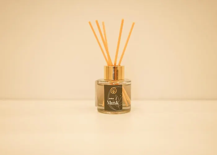 Apartment Moeblierte 3-zimmer-wohnung Nahe Duesseldorf In Duisburg-sued *